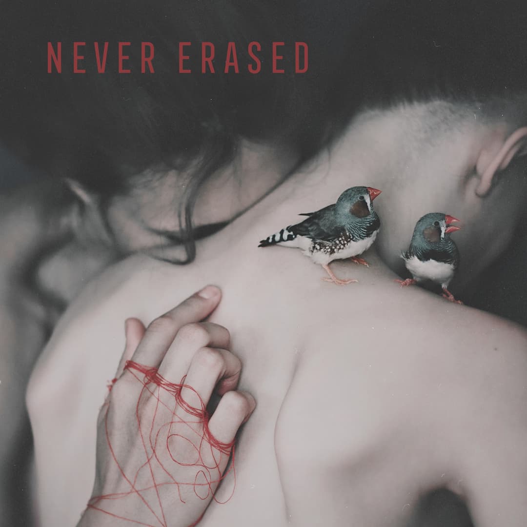 Never Erased album art
